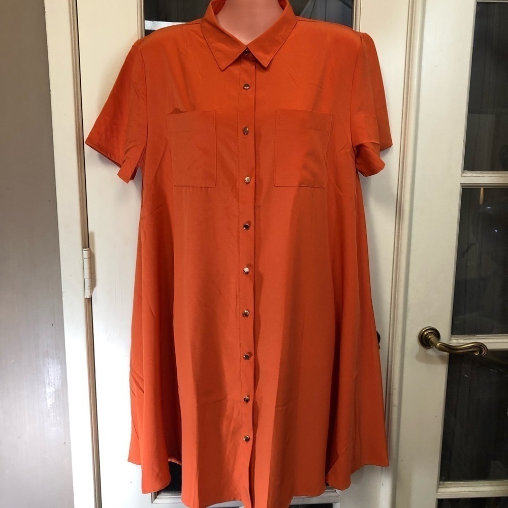 Leshop Tunic Dress